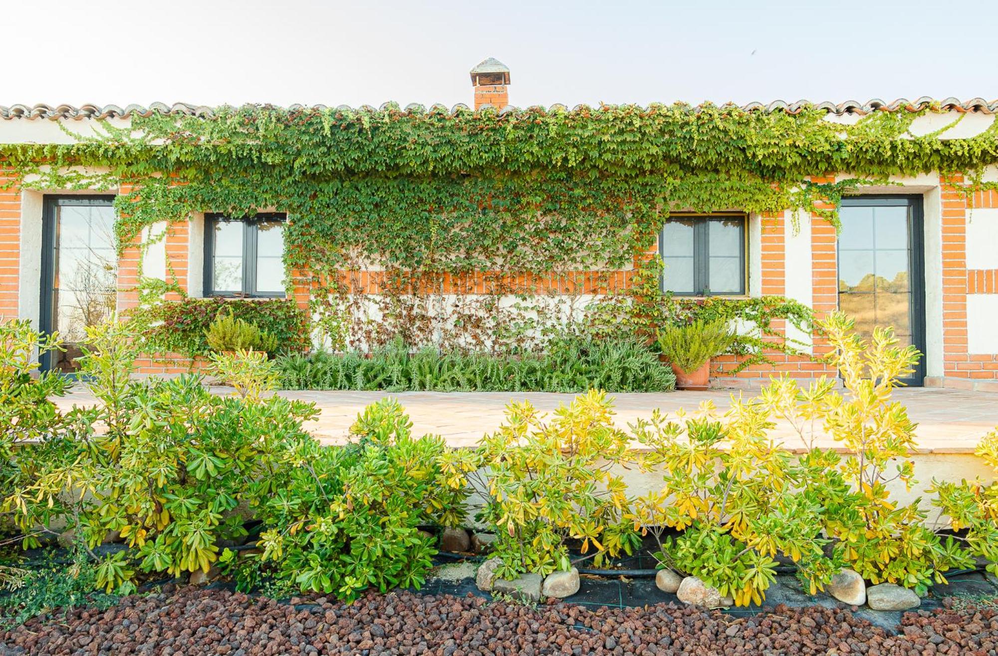 A 30 Min Del Puy De Fou Y Toledo Con Piscina, Bbcoa, Ac, Free Wifi, Jardin, Terraza Con Magnificas Vistas Villa Chozas de Canales Buitenkant foto