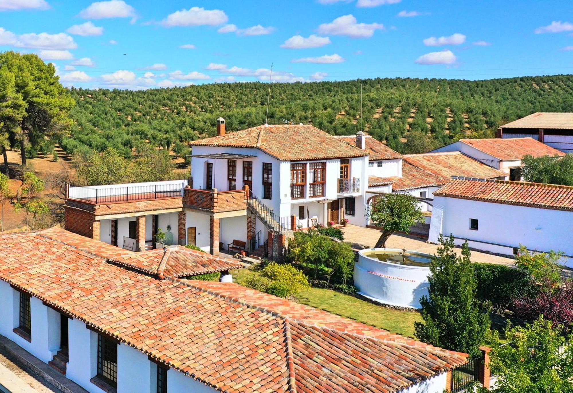 A 30 Min Del Puy De Fou Y Toledo Con Piscina, Bbcoa, Ac, Free Wifi, Jardin, Terraza Con Magnificas Vistas Villa Chozas de Canales Buitenkant foto